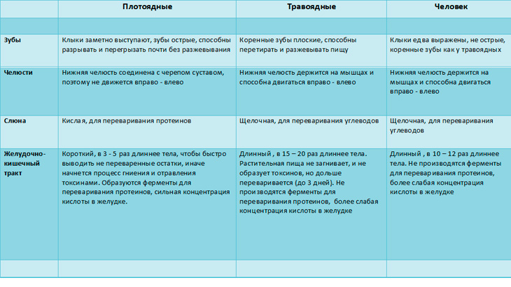 Особенности анатомии травоядных, плотоядных и человека в связи с типом питания.