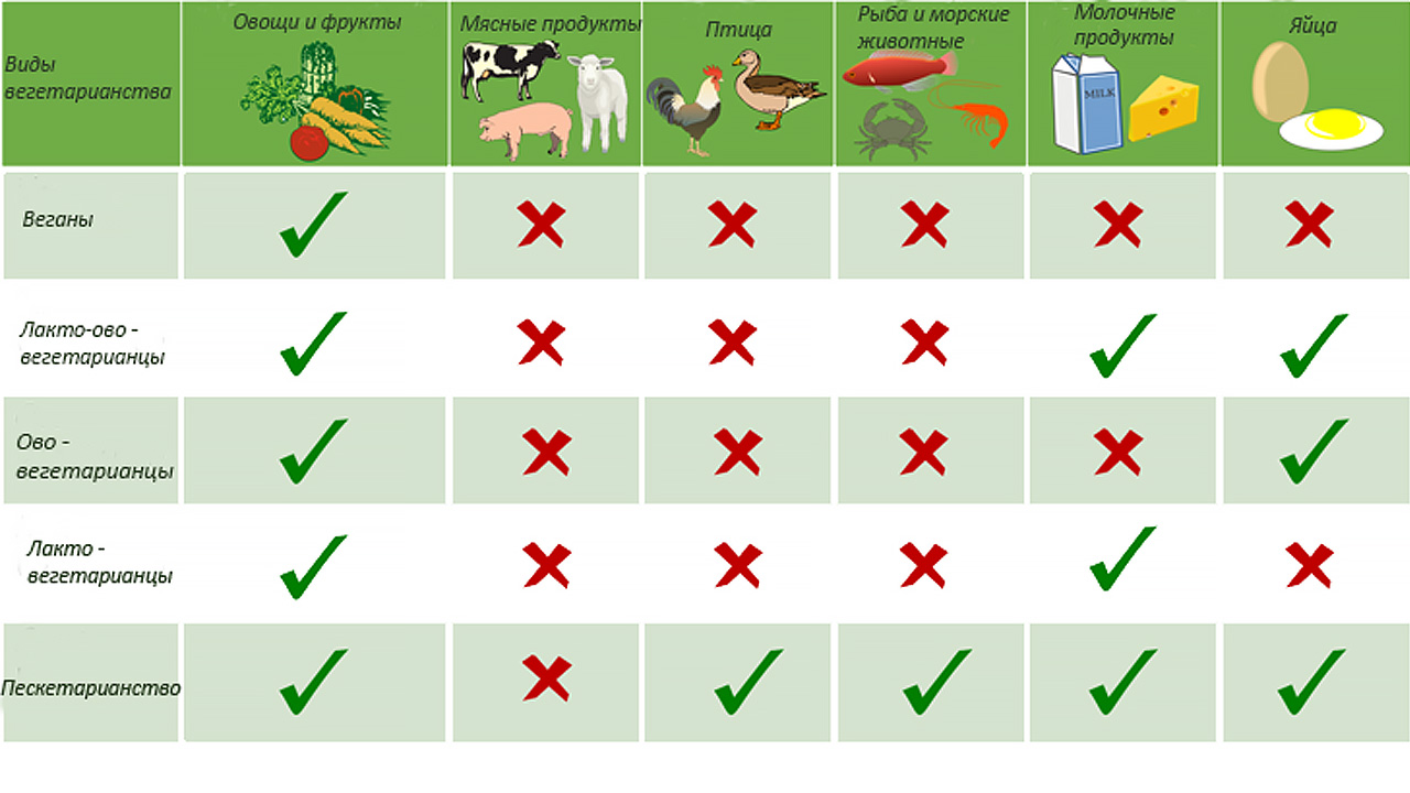 Разновидности вегетарианцев и состав их  рациона. 