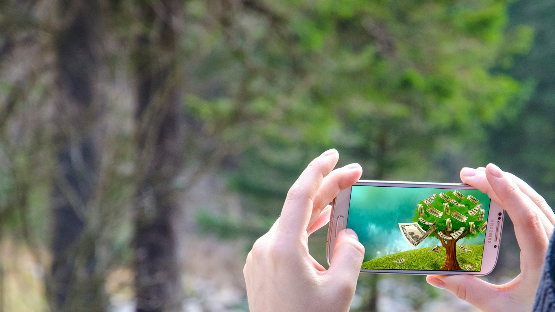 Человек фотографирует  на смартфон лес
